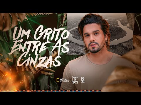 Luan Santana Um Grito Entre as Cinzas - Camões Rádio - Brasil