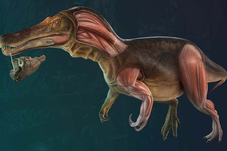 Novo dinossauro português - Camões Rádio - Ciência