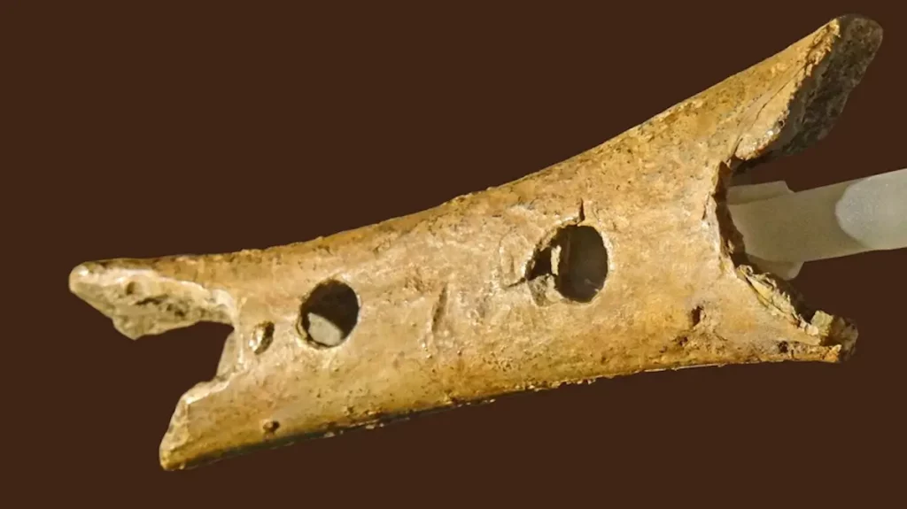 Artefato Neanderthal - Camões Rádio - Música