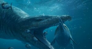 tiranossauro subaquático